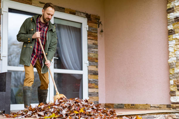 Basement Cleanout Services in Castroville, TX